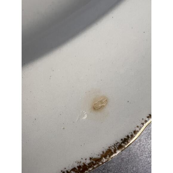 Vtg Canonsburg The Hallmark Magnolia Pattern 22 Kt. Oval Platter Serving Dish - Picture 4 of 11